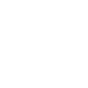 Asbury Automotive Group Inc