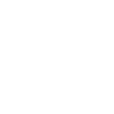 American Eagle Outfitters Inc