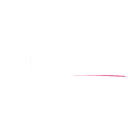 AutoNation Inc