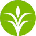 CF Industries Holdings, Inc.