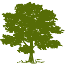 Community Health Systems Inc